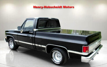 Chevrolet-Other-Pickups-1987-Truck-4