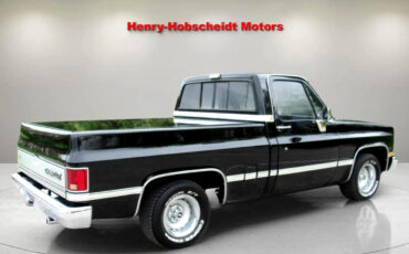 Chevrolet-Other-Pickups-1987-Truck-5