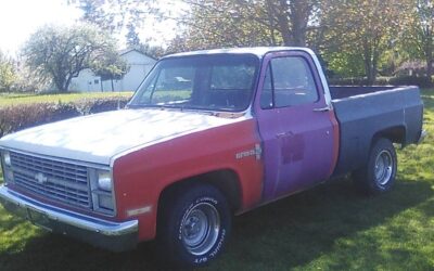 Chevrolet Rolet c/10 short wheel base 1984