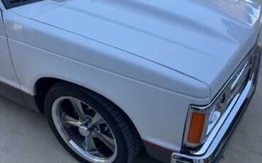 Chevrolet-S-10-1989-10