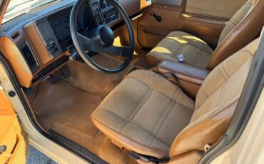 Chevrolet-S-10-1991-Pickup-13