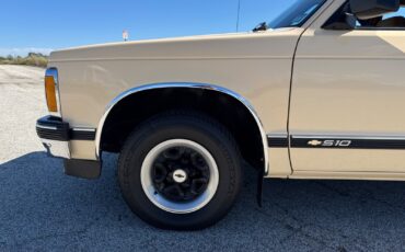 Chevrolet-S-10-1991-Pickup-14