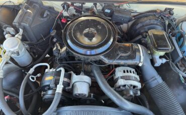 Chevrolet-S-10-1991-Pickup-17