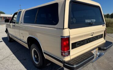 Chevrolet-S-10-1991-Pickup-21