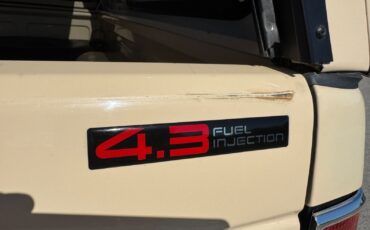 Chevrolet-S-10-1991-Pickup-33
