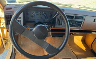 Chevrolet-S-10-1991-Pickup-35