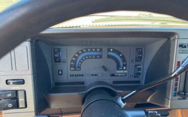 Chevrolet-S-10-1991-Pickup-36