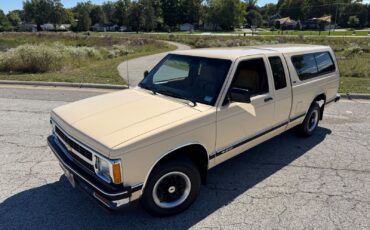 Chevrolet-S-10-1991-Pickup
