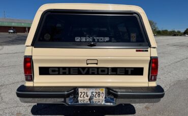 Chevrolet-S-10-1991-Pickup-4