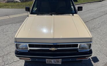 Chevrolet-S-10-1991-Pickup-7
