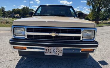 Chevrolet-S-10-1991-Pickup-8