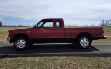 Chevrolet-S-10-pickup-12-ton-1983-red-1