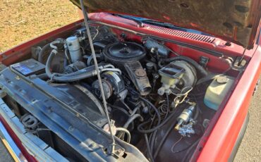 Chevrolet-S-10-pickup-12-ton-1983-red-14
