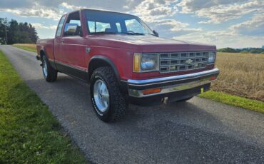 Chevrolet-S-10-pickup-12-ton-1983-red-4