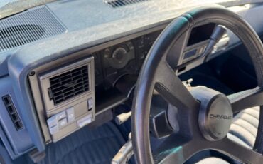 Chevrolet-Silverado-1500-1991-Standard-Cab-Pickup-16