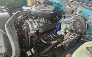 Chevrolet-Silverado-1500-1994-custom-2