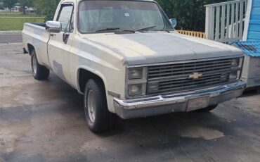 Chevrolet-Silverado-1984-3