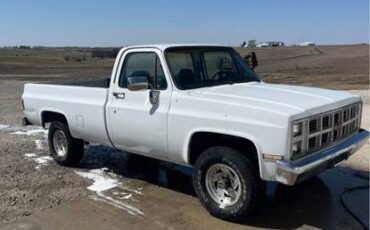 Chevrolet-Silverado-2500hd-diesel-1982-10