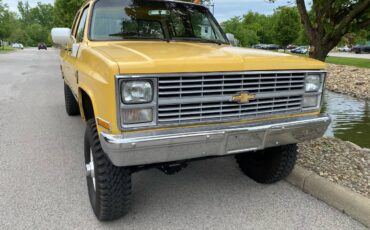 Chevrolet-Silverado-3500-hd-crew-cab-1984-yellow-12