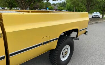 Chevrolet-Silverado-3500-hd-crew-cab-1984-yellow-5