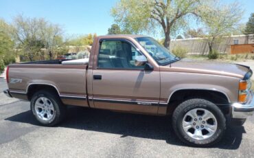 Chevrolet-Silverado-4x4-auto-trans-1994-brown