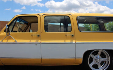 Chevrolet-Suburban-1979-SUV-17