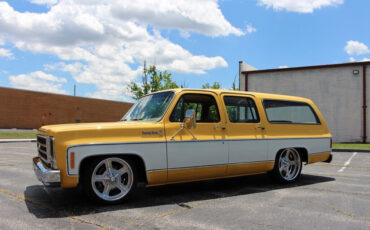 Chevrolet-Suburban-1979-SUV-19