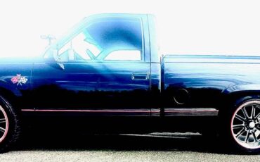 Chevrolet-Truck-1991-19