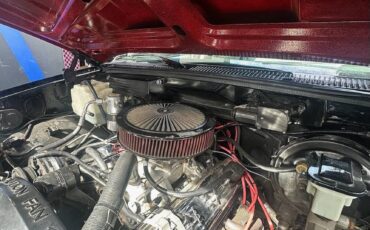 Chevrolet-Truck-1991-4