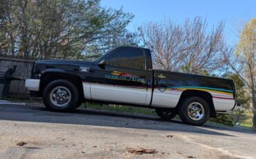 Chevrolet-Truck-1993-12