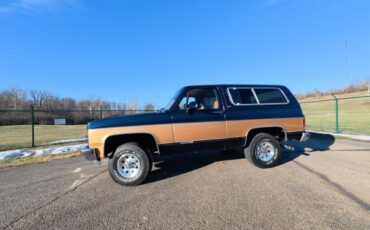 Chevrolet-V-Blazer-1991-SUV-1