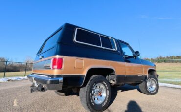 Chevrolet-V-Blazer-1991-SUV-15