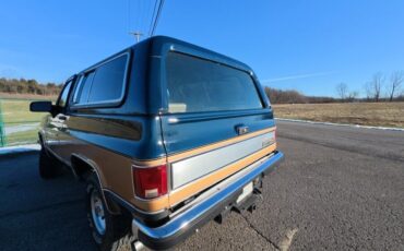 Chevrolet-V-Blazer-1991-SUV-17
