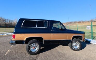 Chevrolet-V-Blazer-1991-SUV-18