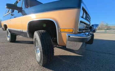 Chevrolet-V-Blazer-1991-SUV-19