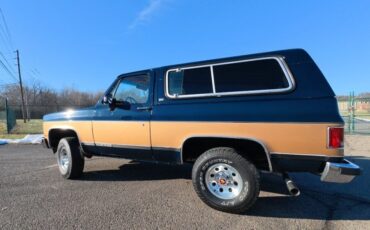Chevrolet-V-Blazer-1991-SUV-2