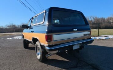 Chevrolet-V-Blazer-1991-SUV-3