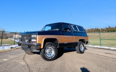 Chevrolet-V-Blazer-1991-SUV