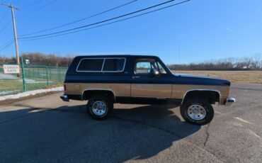 Chevrolet-V-Blazer-1991-SUV-7