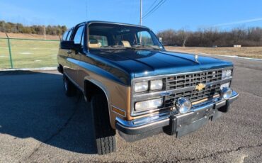 Chevrolet-V-Blazer-1991-SUV-8
