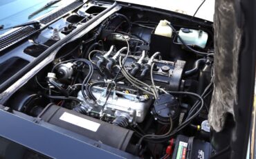 Chevrolet-Vega-1975-Coupe-34