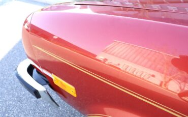 Chevrolet-Vega-1976-Coupe-14