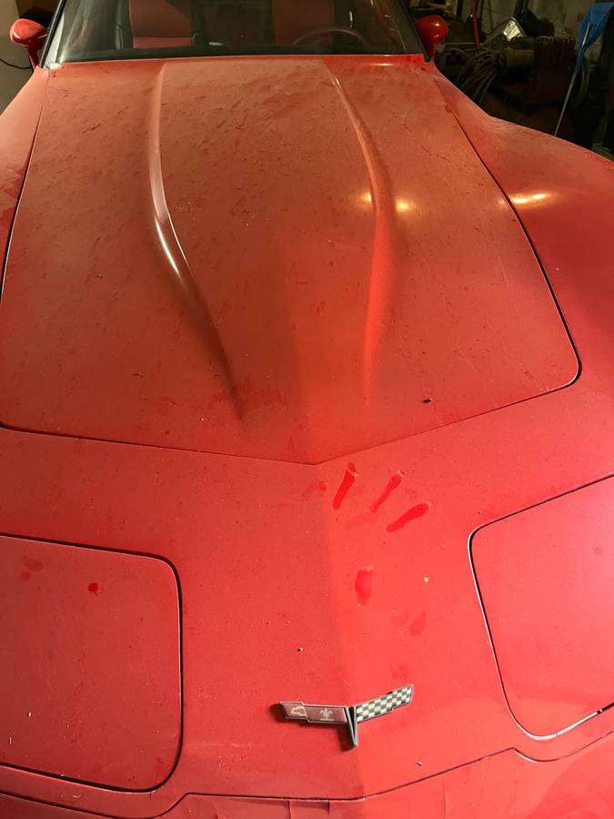 Chevrolet-Vette-1981-red-2