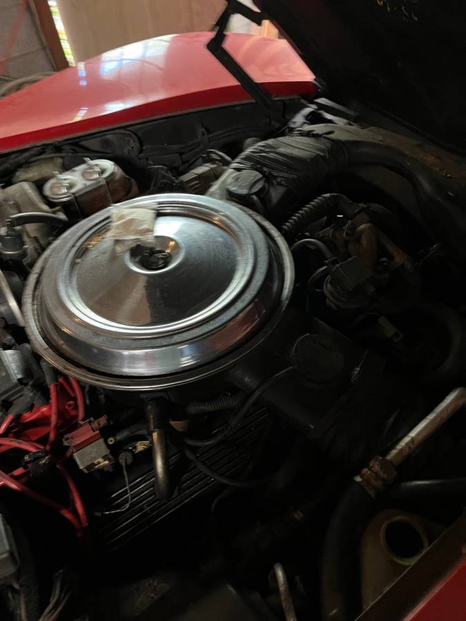 Chevrolet-Vette-1981-red-3