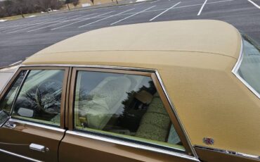 Chrysler-1977-brown-7