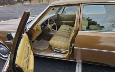 Chrysler-1977-brown-8