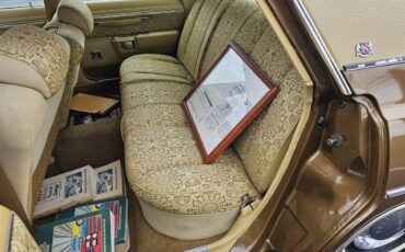 Chrysler-1977-brown-9