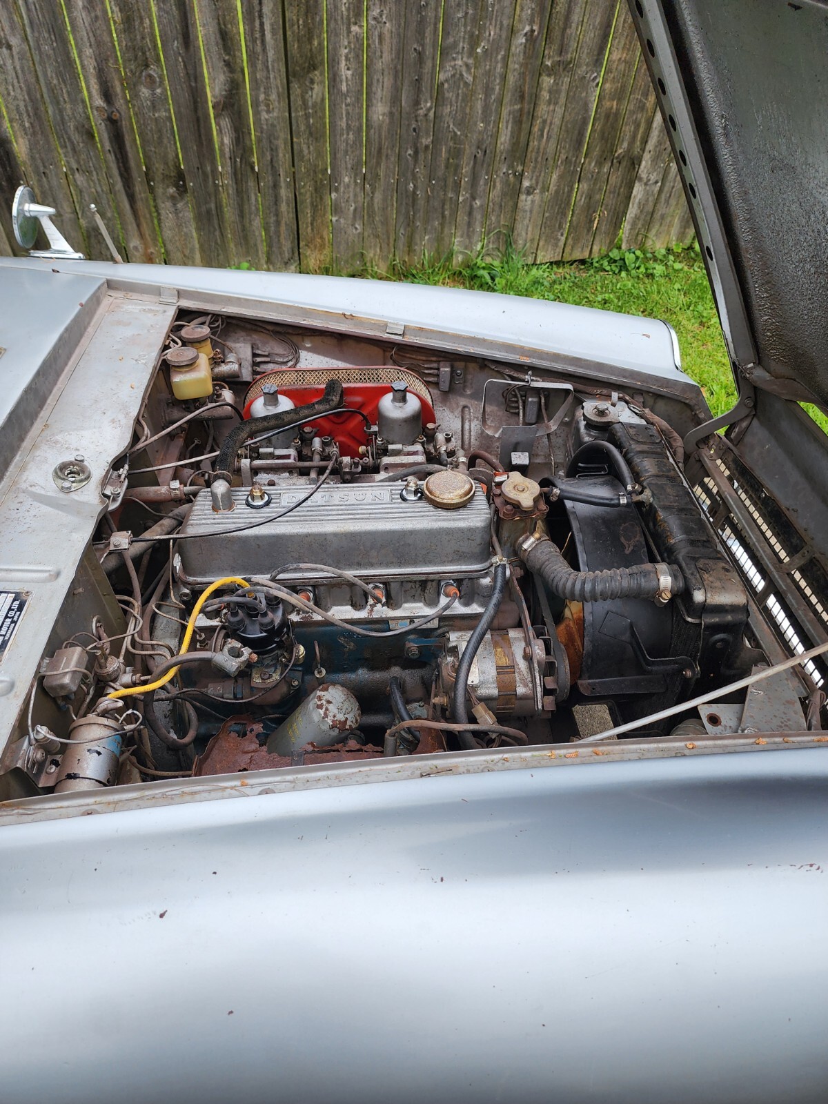 Datsun-Other-1967-Convertible-11