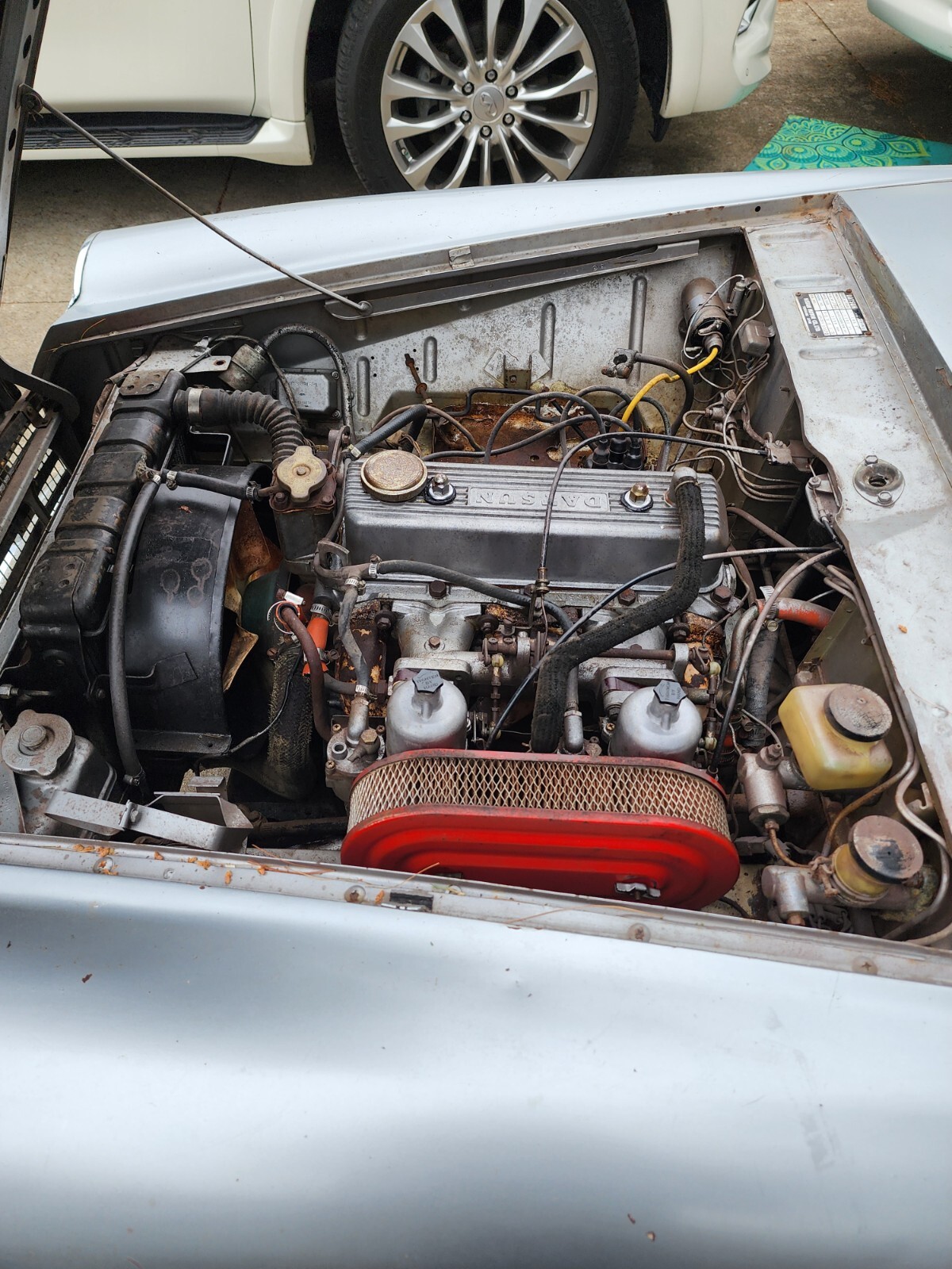 Datsun-Other-1967-Convertible-13