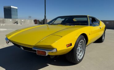 De-Tomaso-Pantera-1971-Coupe-19
